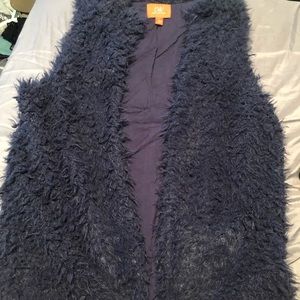 Blue Fur Vest